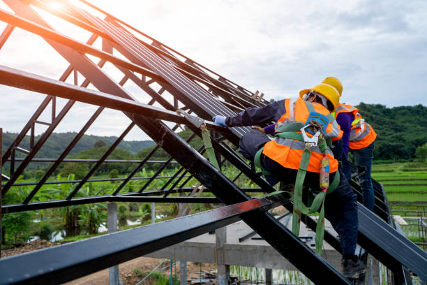 Roof Waterproofing Services in Tripoli, IA